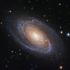 M51