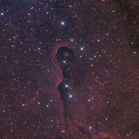Ic1396 Elephant Trunk nebula