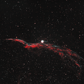 Witches Broom -SAI-sharpen