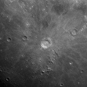 Up Close and Personal with Cop...